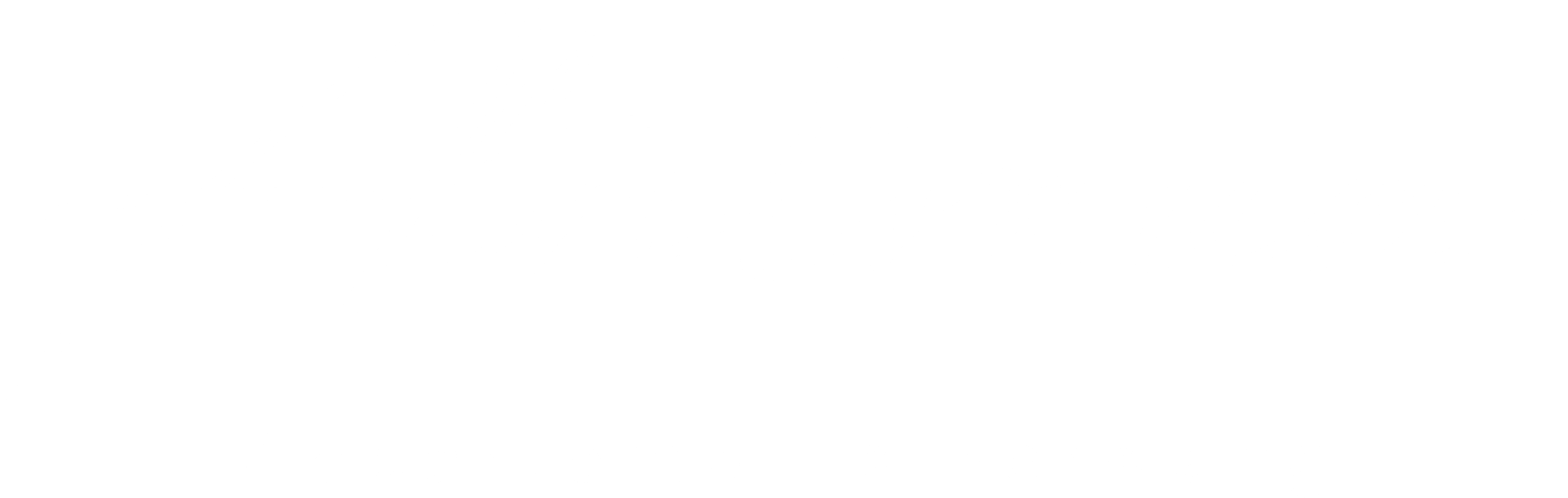 Logo Almtraum Appartementen Berwang Oostenrijk